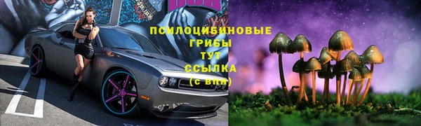 метадон Медногорск