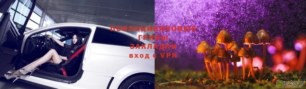 мескалин Мегион