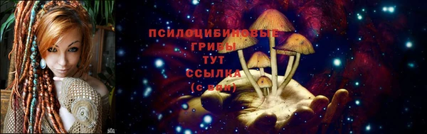 мескалин Мегион