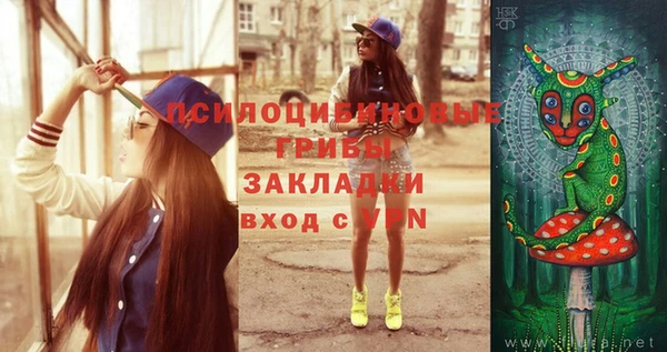 первитин Медвежьегорск