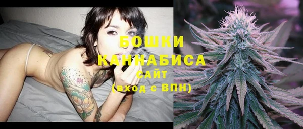 молекула духа Навашино