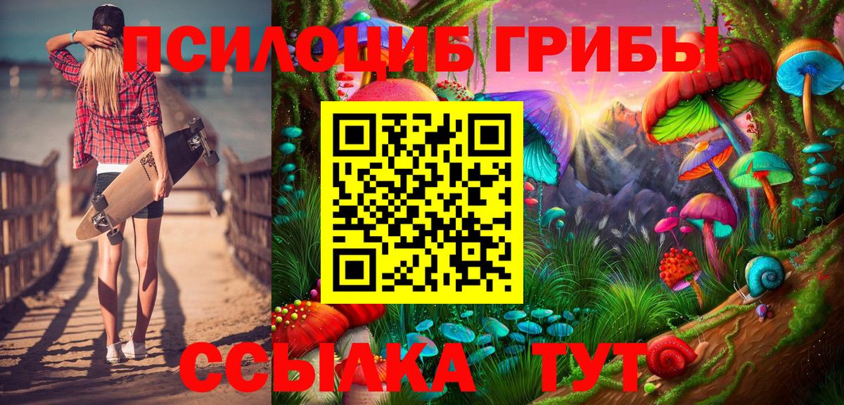 Галлюциногенные грибы Psilocybine cubensis Екатеринбург