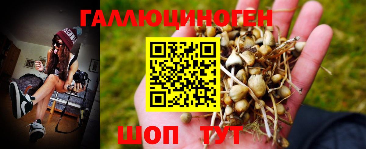Псилоцибиновые грибы ЛСД  Псилоцибиновые грибы Magic Shrooms  Екатеринбург  Вход с VPN 