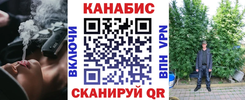 Шишки марихуана план  где можно купить наркотик  Екатеринбург 